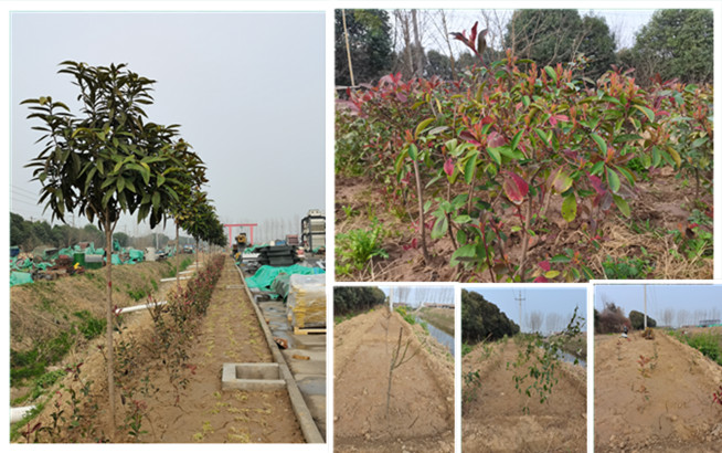 bitcoin官网-对接全球数字钱币买卖平台